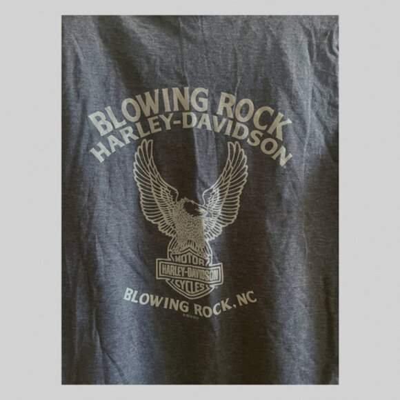 NWT Harley-Davidson Gray Tee Shirt Blowing Rock, NC sz.Large - Picture 2 of 4